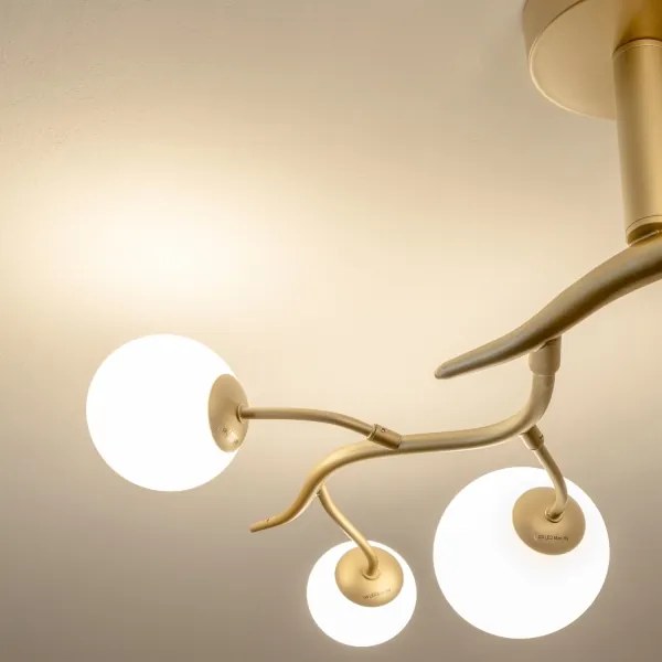 Lustră LED aplicată Brilagi MISTEL 6xG9/3W/230V auriu/alb