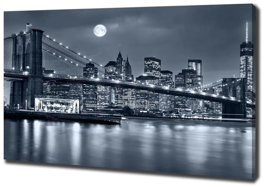 Tablouri tipărite pe pânză Manhattan new york city