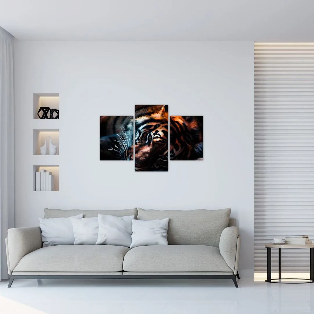 Tablou cu tigrul dormind (90x60 cm)
