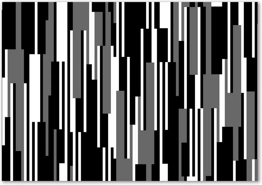 Imagine de sticlă Linii negre și albe