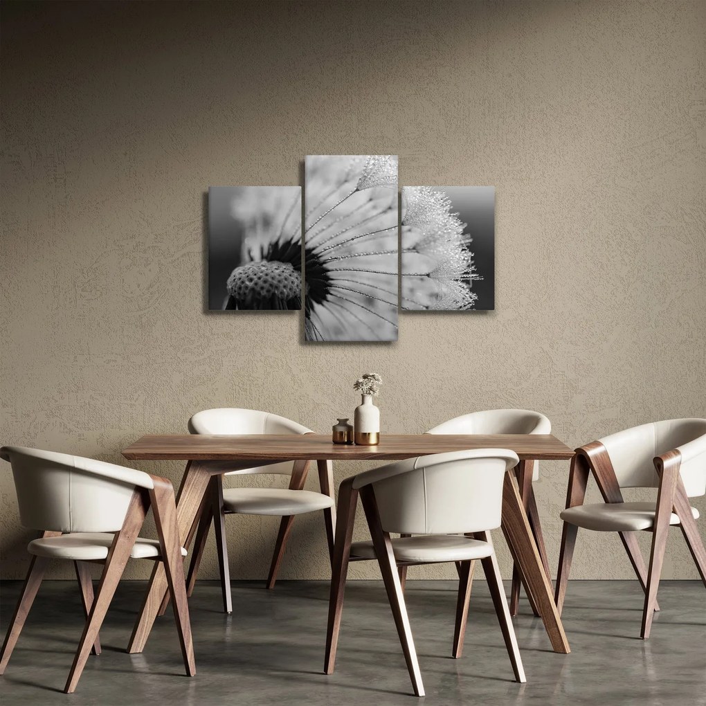 Tablou cu păpădie - albnegru (90x60 cm)