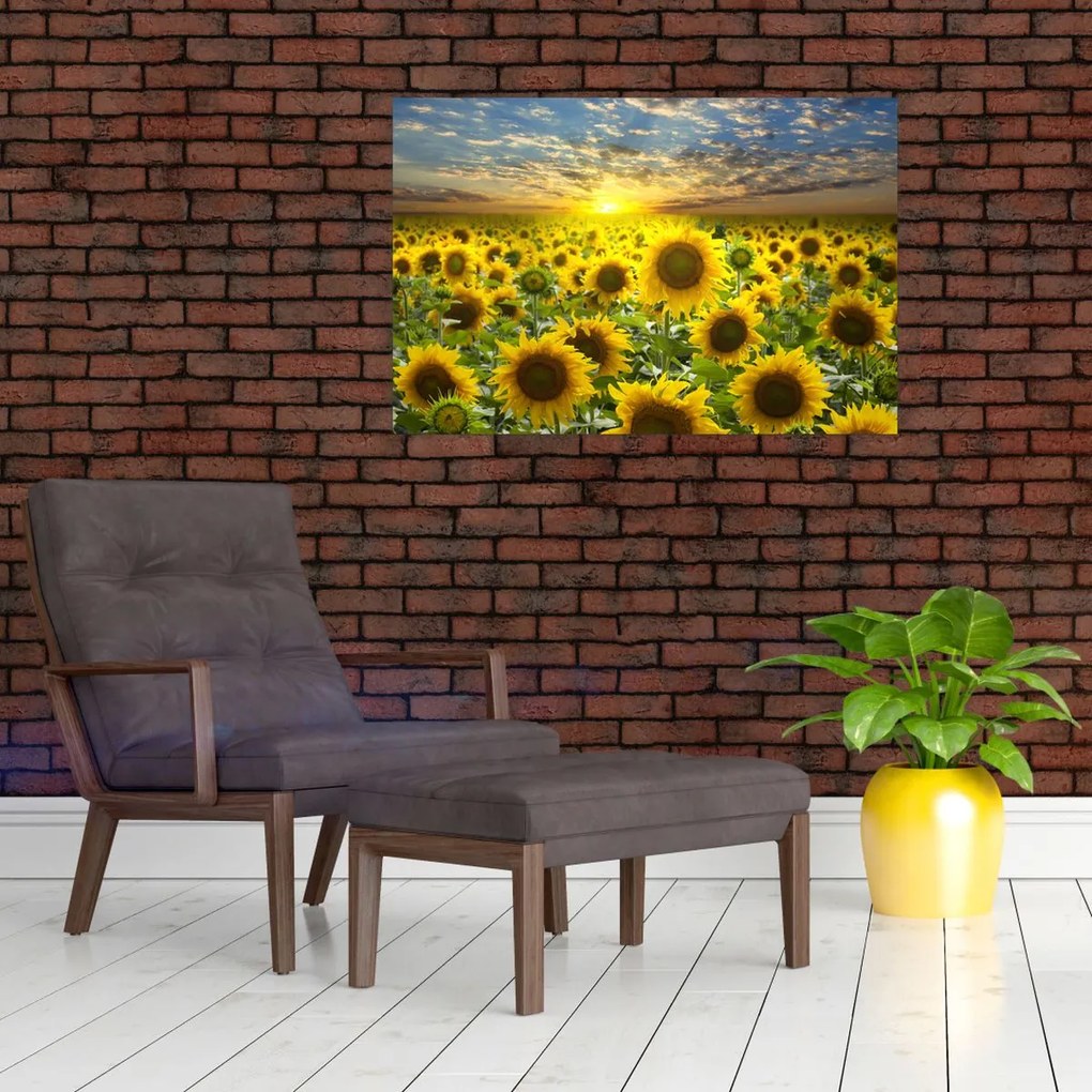 Tablou - Floarea-soarelui la apus de soare (90x60 cm)