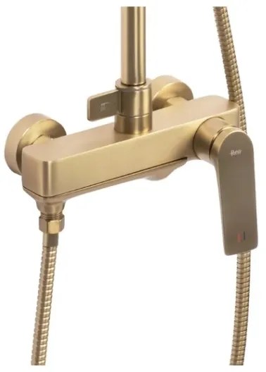 REA-P2400 - Set de duș AVALON cu baterie, finisaj auriu periat