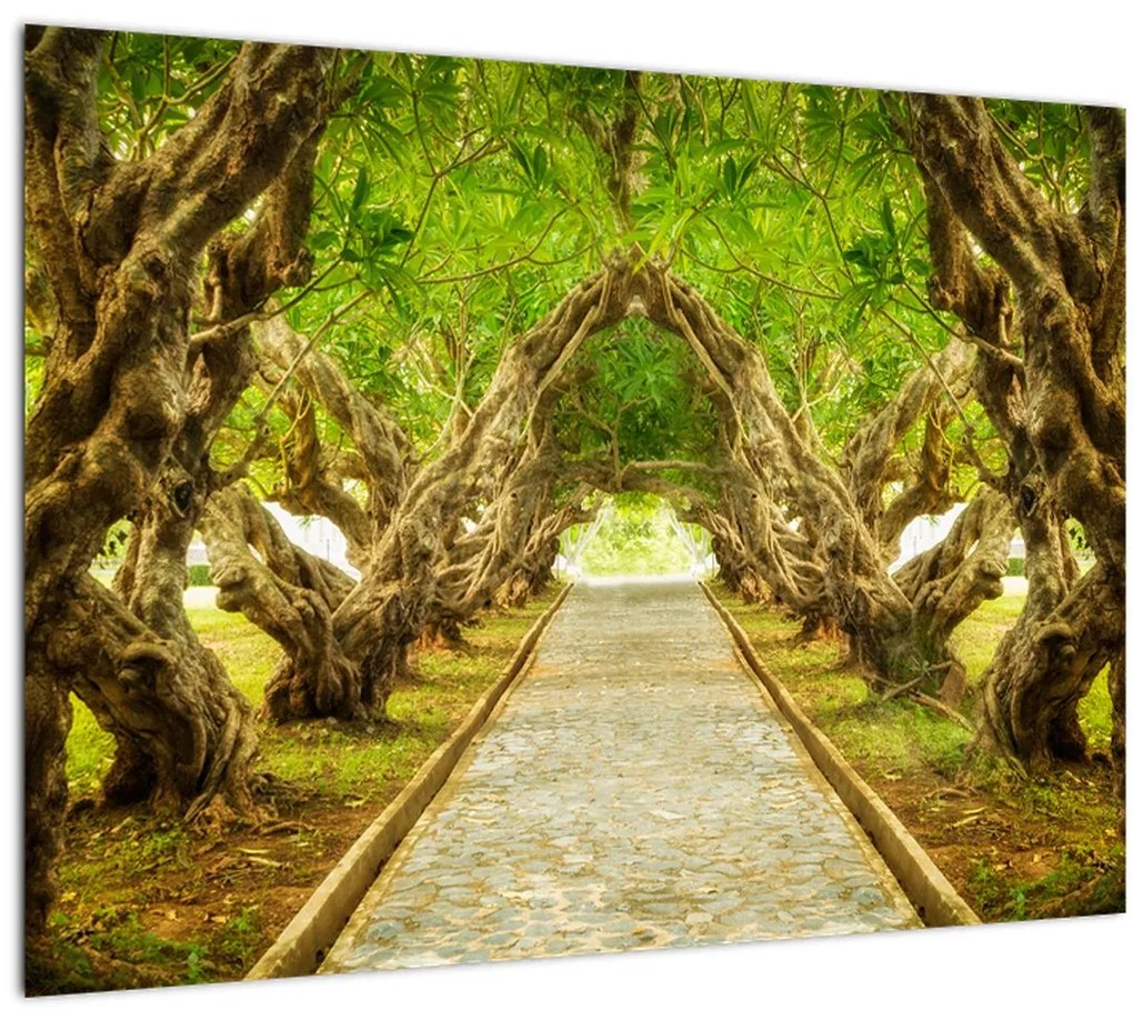 Tablou - Tunel viu din plumeria (70x50 cm)