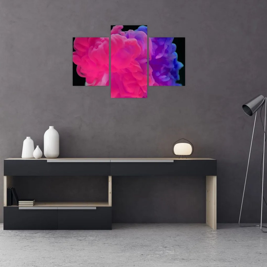 Tablou cu fum colorat (90x60 cm)