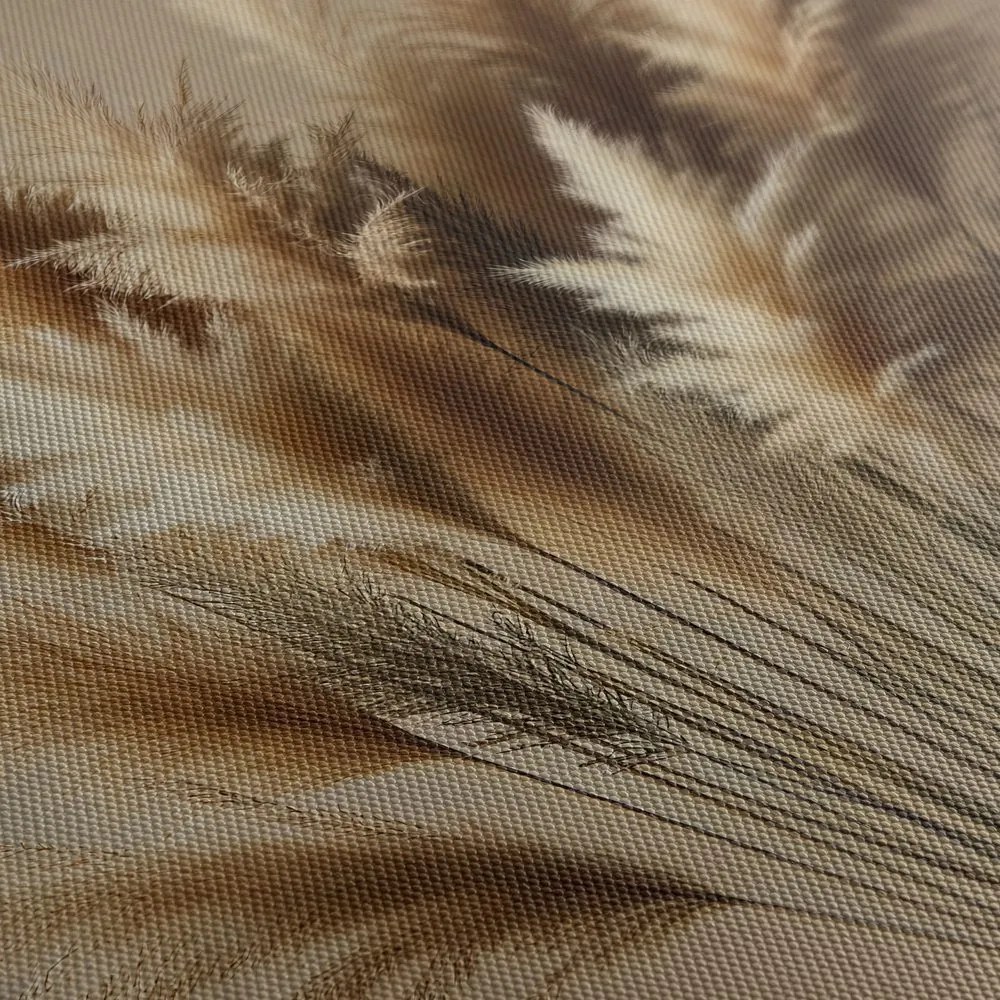 Tablou fire delicate de iarbă pampas
