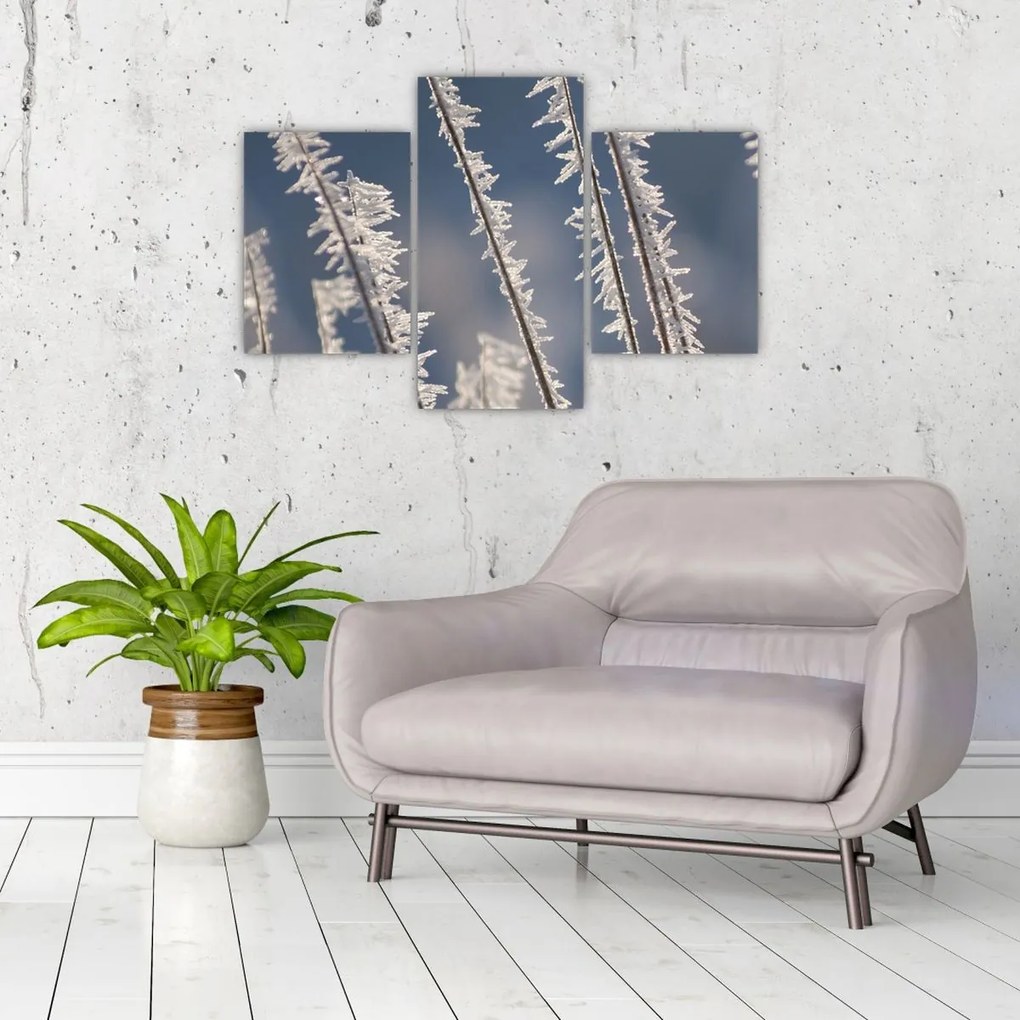 Tablou - Îngheț (90x60 cm)