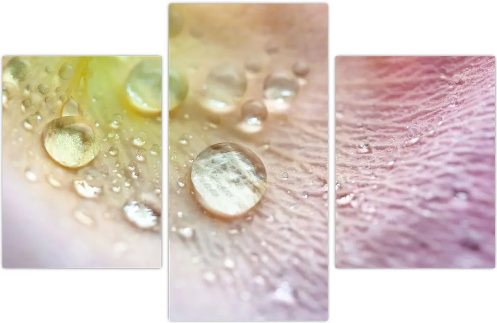 Tablou - Picături (90x60 cm)