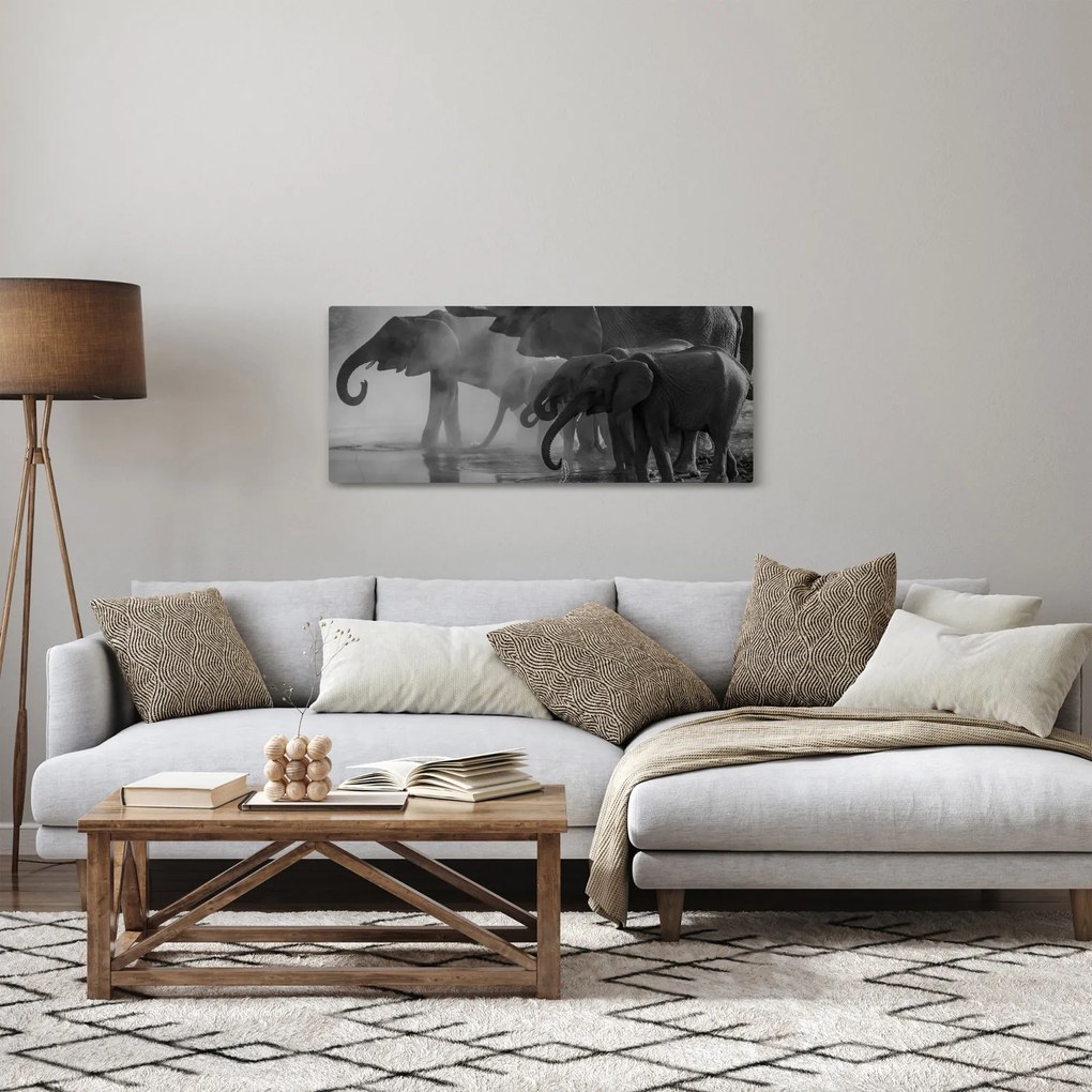 Tablou cu elefanți - albnegru (120x50 cm)