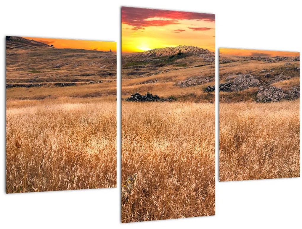 Tablou cu câmp (90x60 cm)