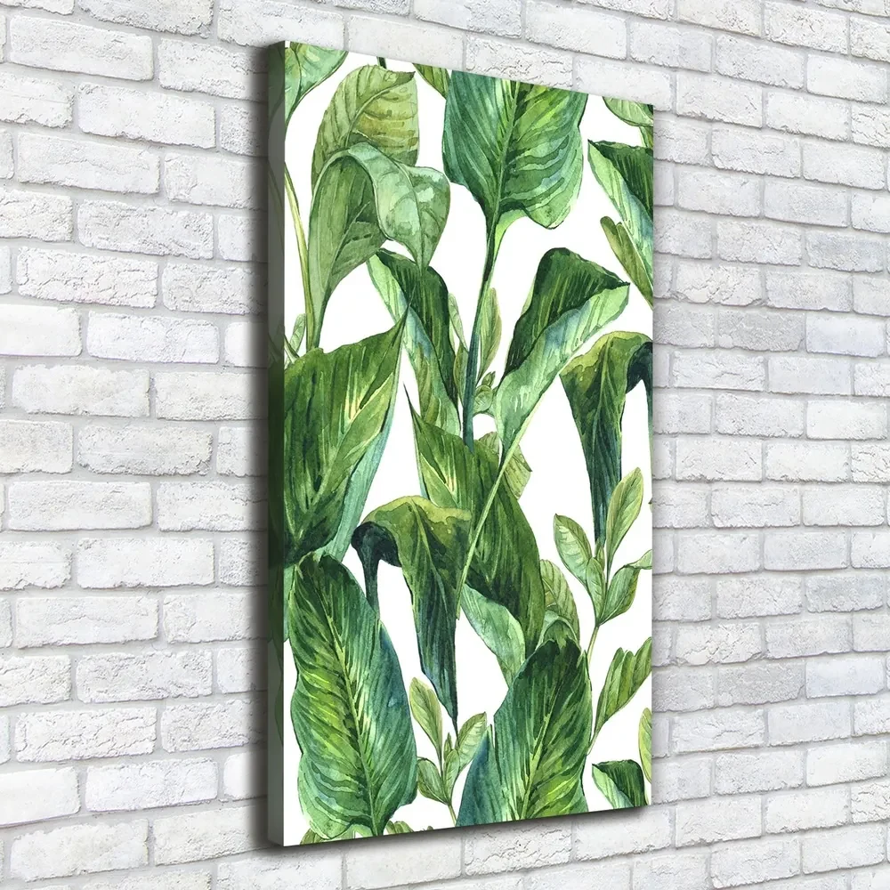 Tablou pe pânză canvas Frunze tropicale