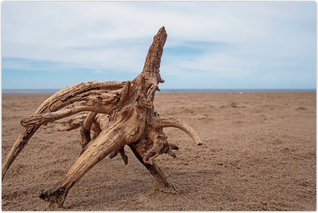 Tablou - Inundație de mare (90x60 cm)