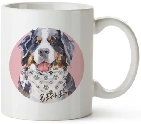 Bohemia Gifts Cană ceramică - Bernese, 350 ml