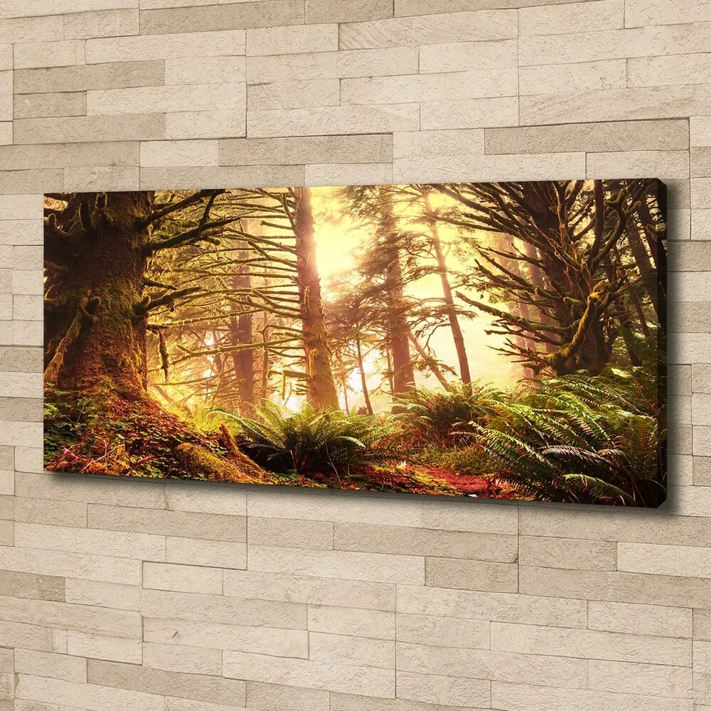 Tablou pe pânză canvas Pădurea tropicală