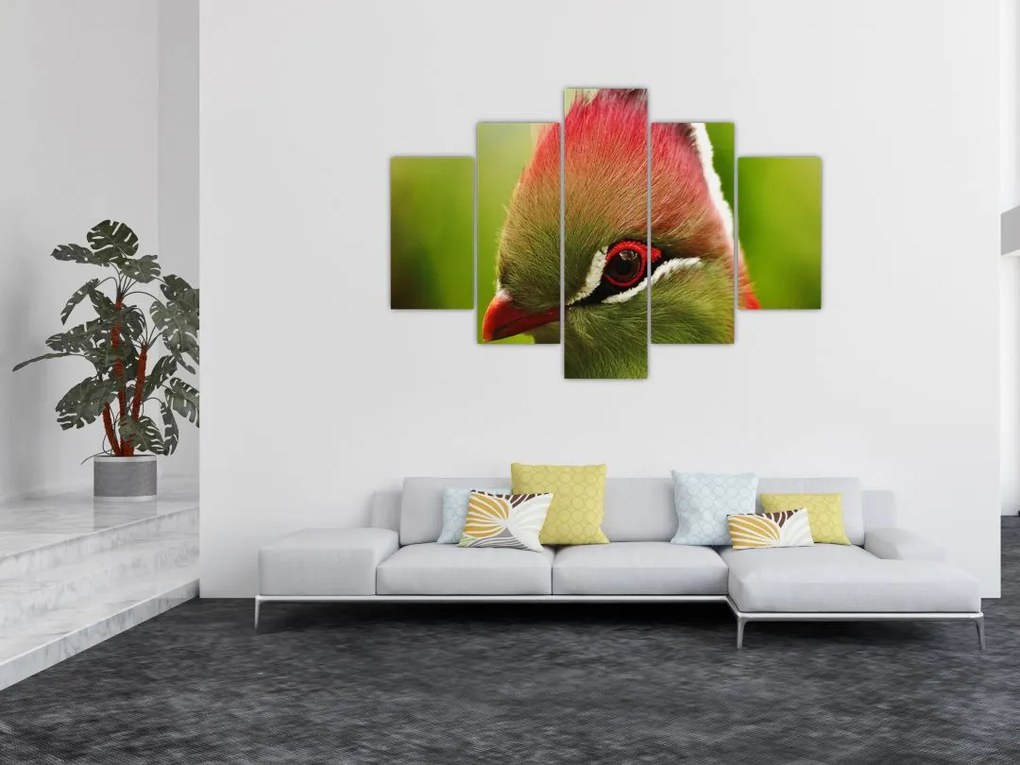 Tablou cu pasărea colorată (150x105 cm)
