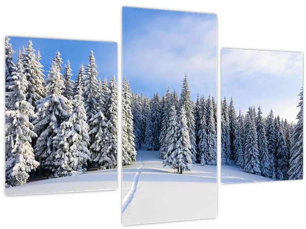 Tablou - Iarna in pădure (90x60 cm)