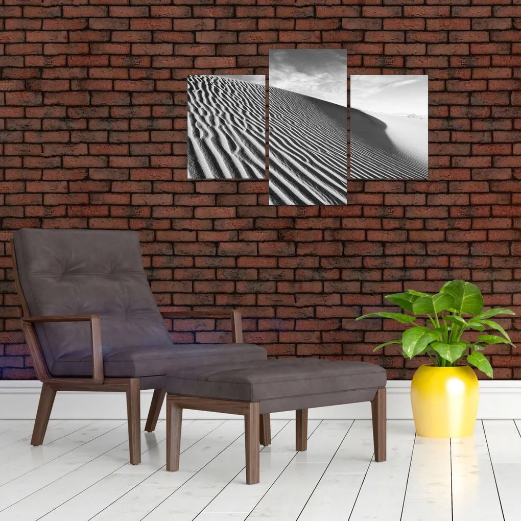 Tablou - Dună de nisip (90x60 cm)