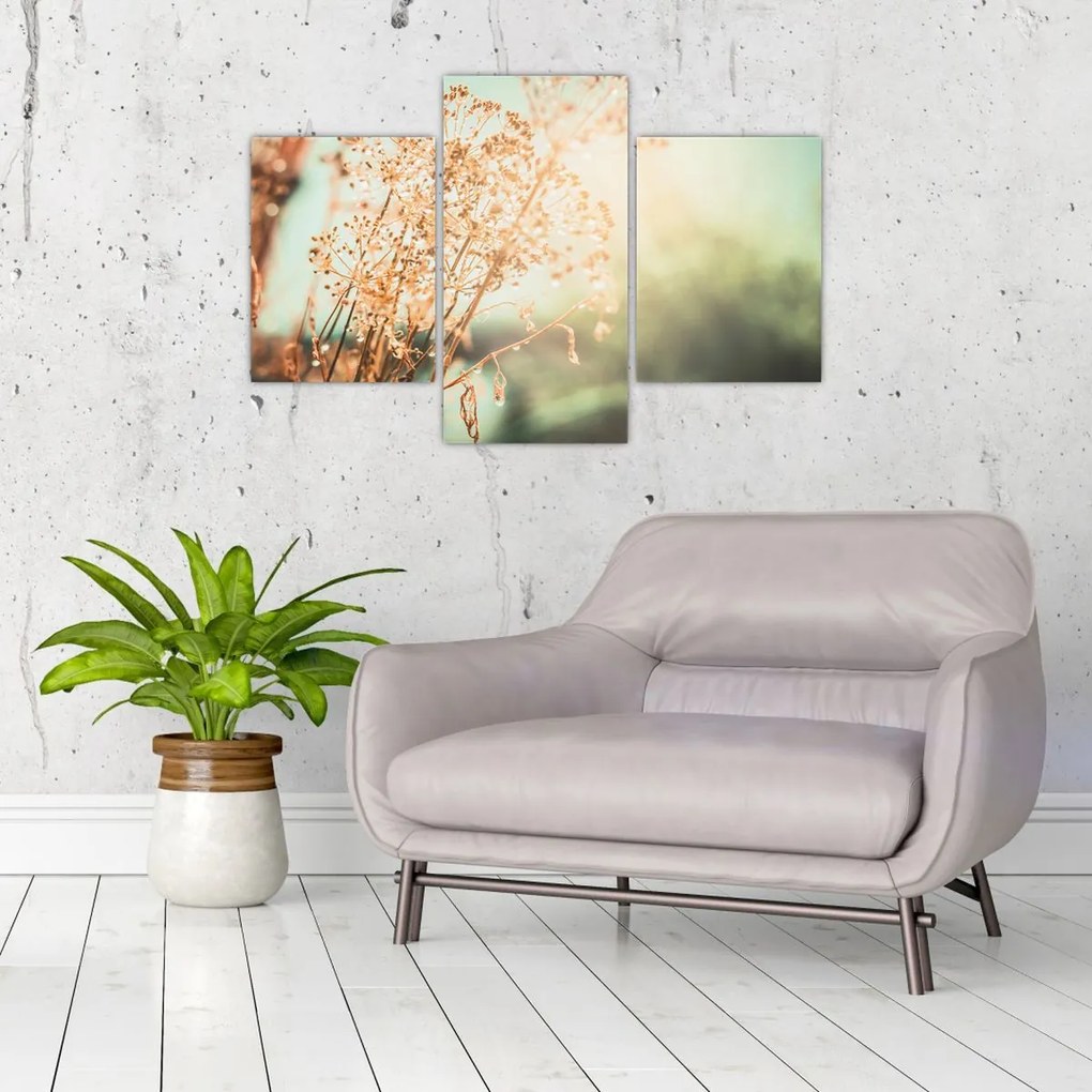 Tablou - Plante după ploaie (90x60 cm)