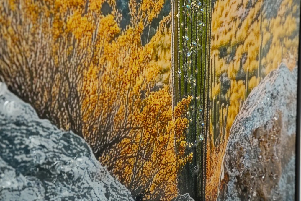 Mauro Ferretti Pictura Pe Panza Lacuita, Cu Rama, Cactus -B- Cm 60X4X88 | Aosom Romania