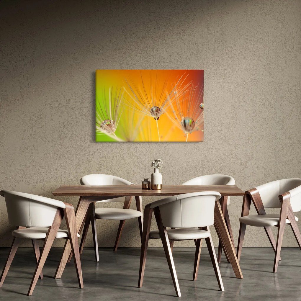 Tablou cu picături pe plantă (90x60 cm)