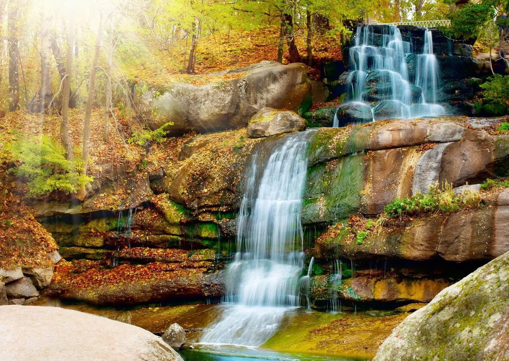 Fototapete, O cascada si niste stanci mari pe fundalul unor copaci Art.01024