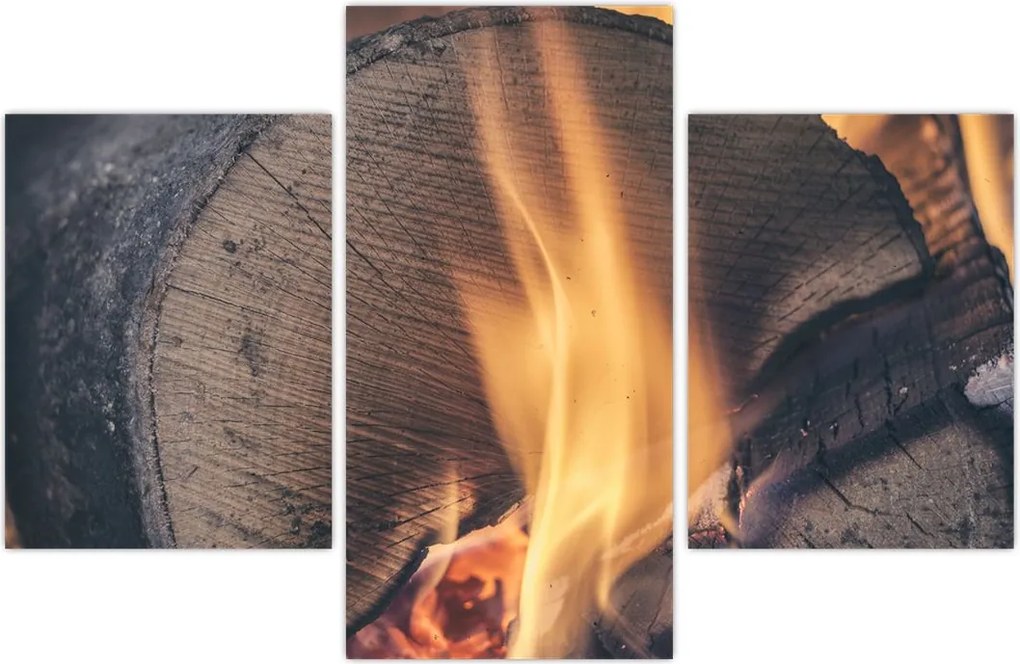 Tablou - Lemn în foc (90x60 cm)