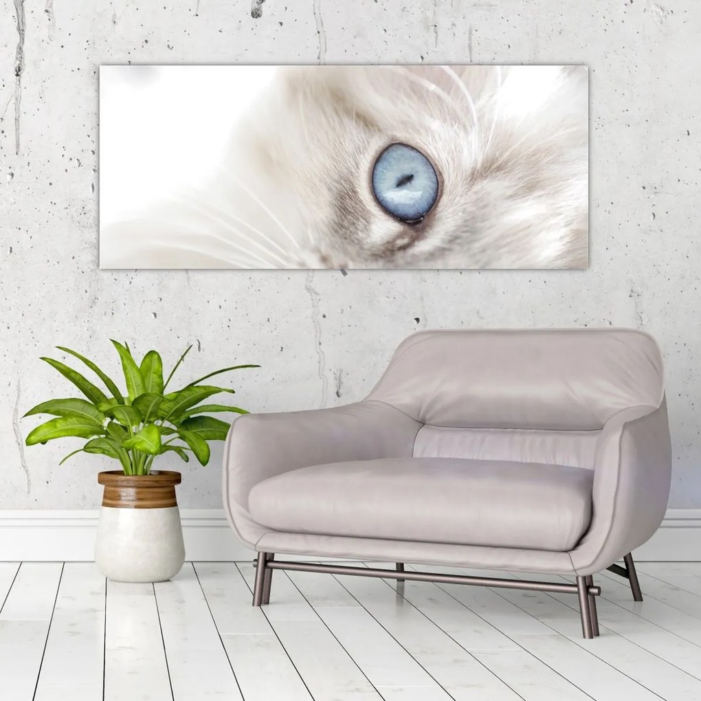 Tablou - Pisica cu ochi albaștri (120x50 cm)