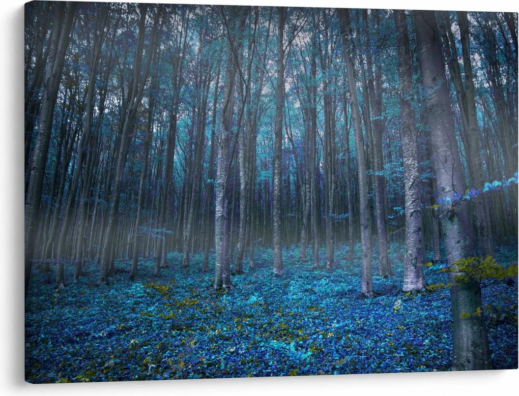 Tablou - Pădurea magică (70x50 cm)