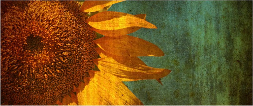 Tablou - Floarea soarelui (120x50 cm)