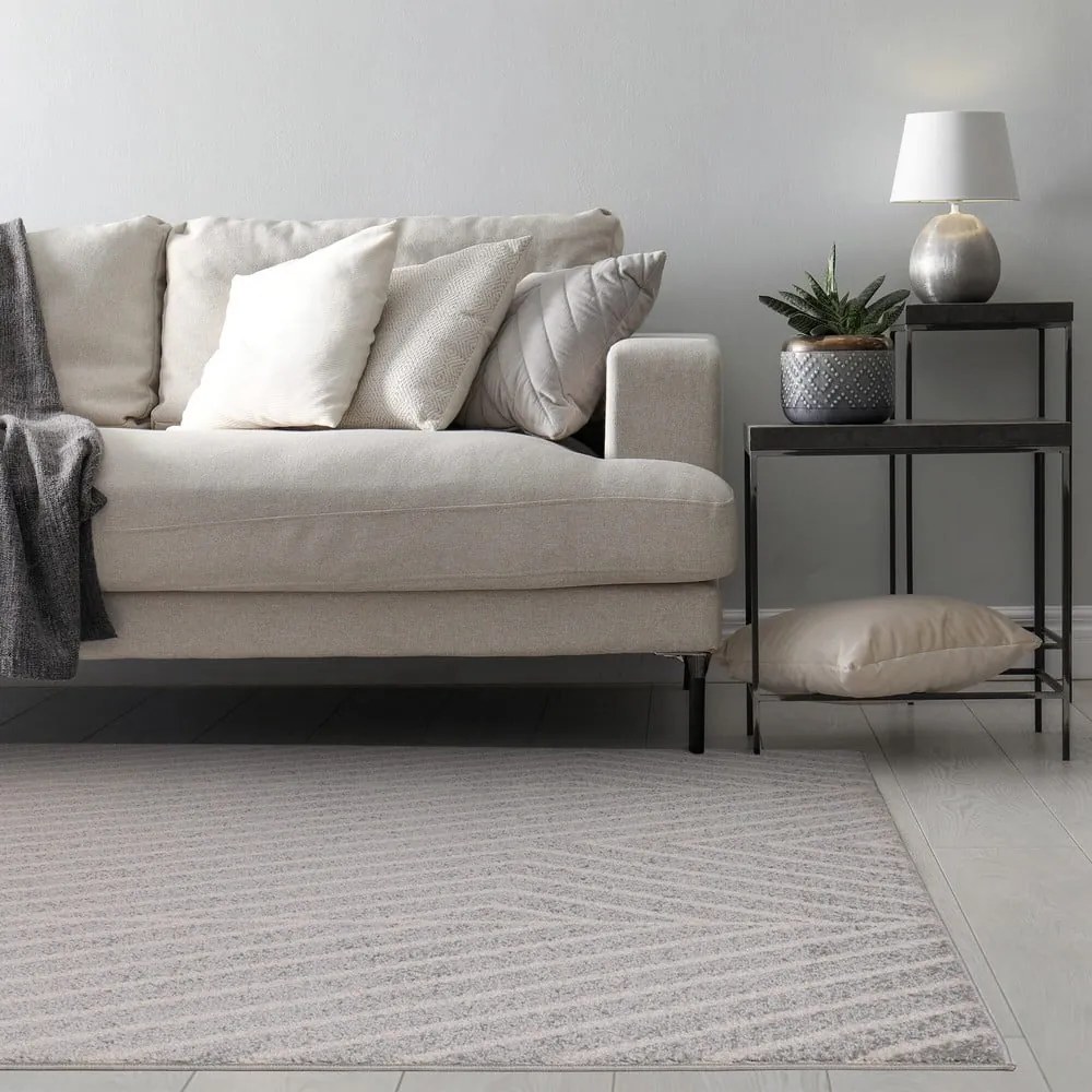 Covor gri deschis 120x170 cm Muse – Asiatic Carpets