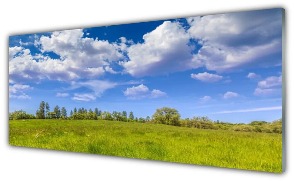Tablou pe sticla Meadow Grass Peisaj verde