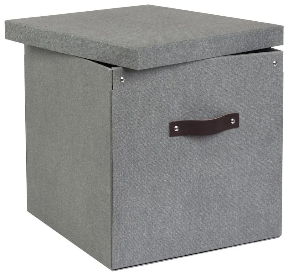 Cutie de depozitare cu capac Logan – Bigso Box of Sweden