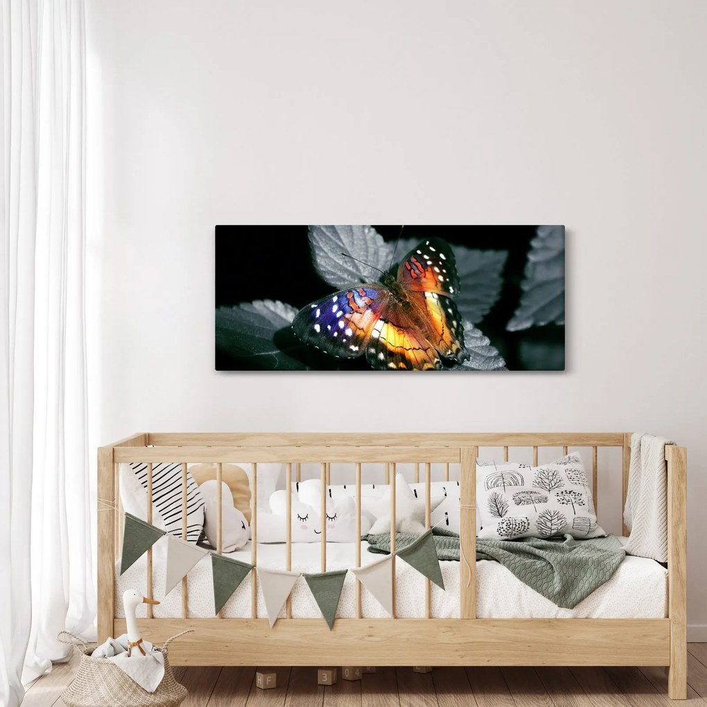 Tablou cu fluture (120x50 cm)