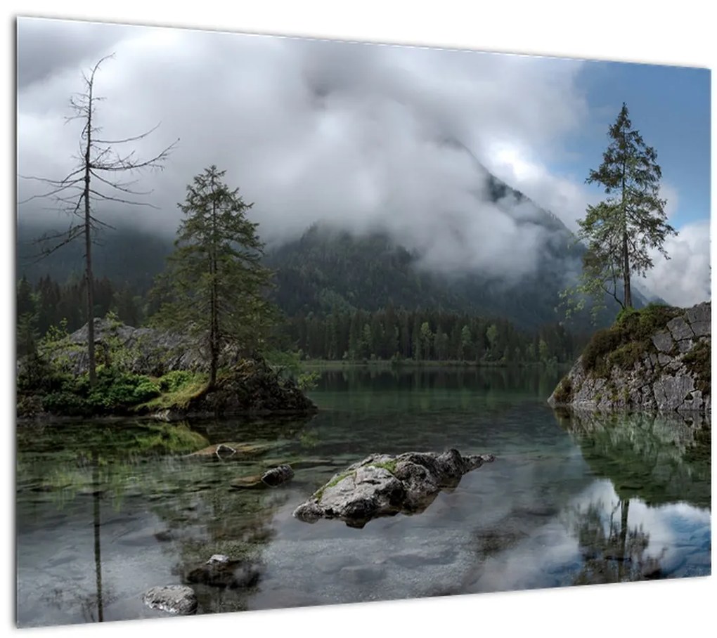Tablou cu pomi în lac (70x50 cm), în 40 de alte dimensiuni noi