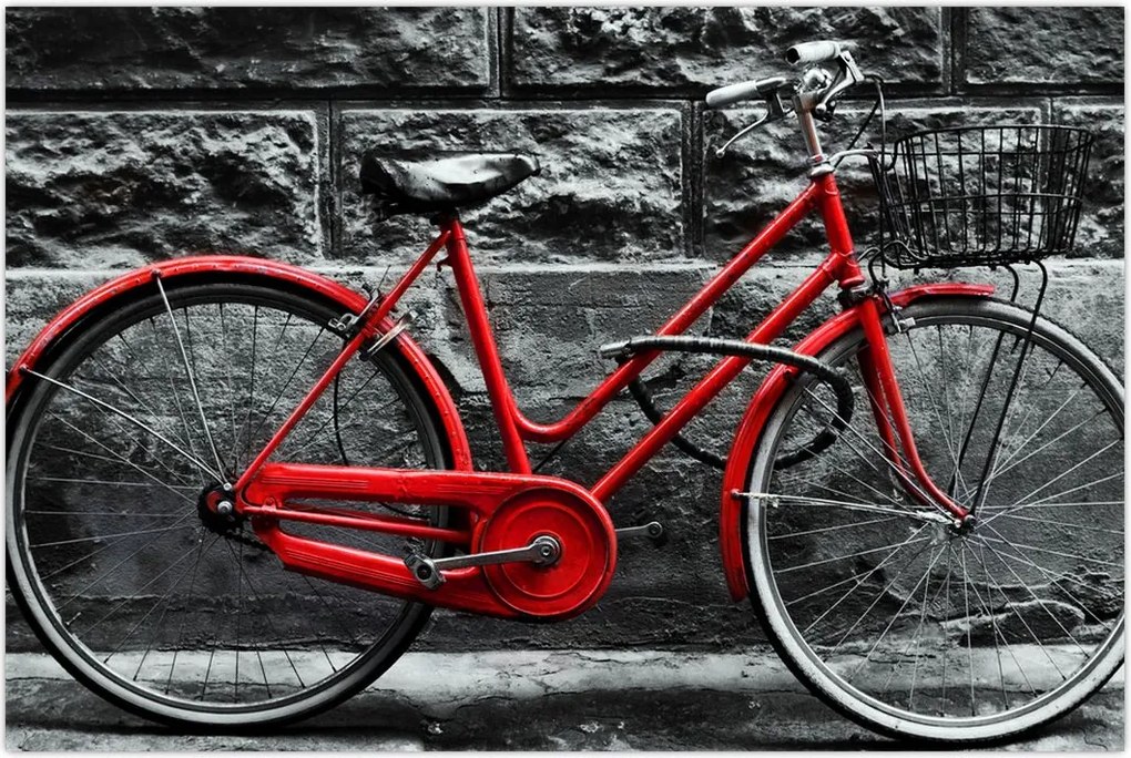 Tablou - Bicicleta istorică (90x60 cm)