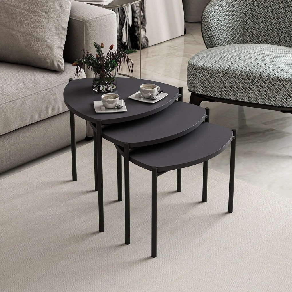 Masuta de cafea set (3 bucăți) Lenny - Anthracite