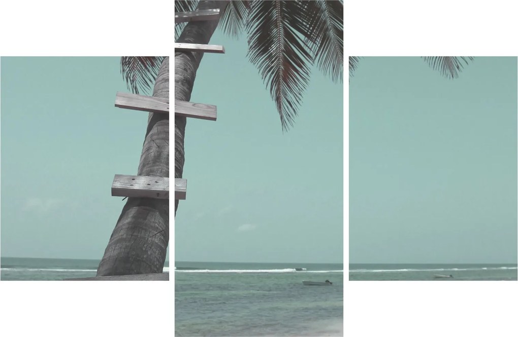 Tablou - Palma în Caraibe (90x60 cm)