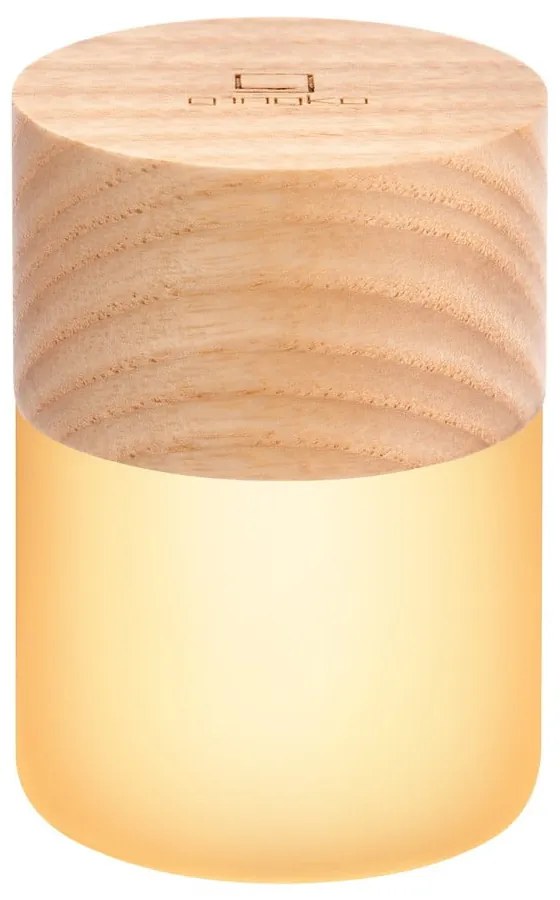 Decorațiune luminoasă în culoare naturală cu USB ø 4,5 cm Lemelia – Gingko