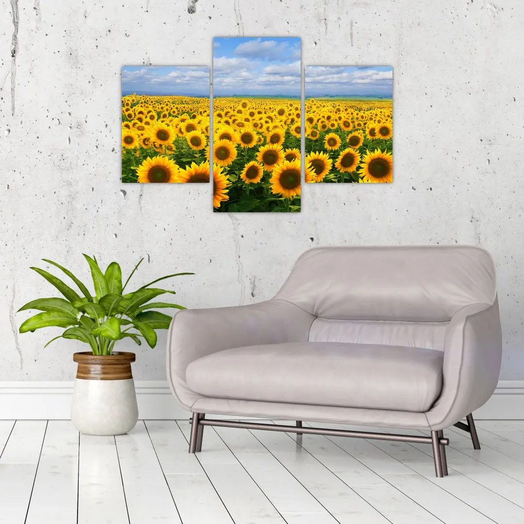 Tablou cu lan de floarea soarelui (90x60 cm)
