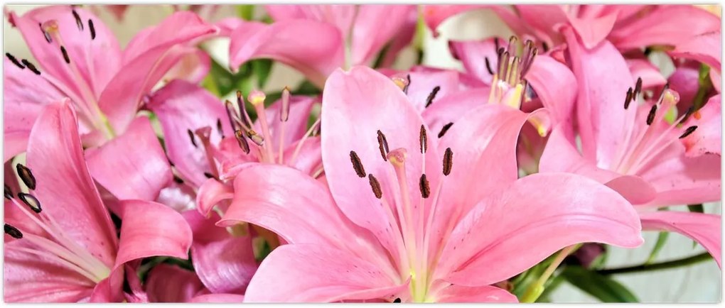 Tablou - Liliac roz (120x50 cm)