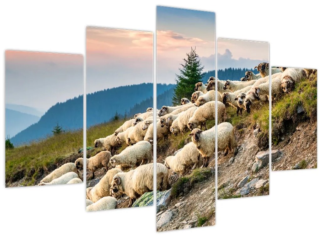 Tablou - O turmă de oi (150x105 cm)