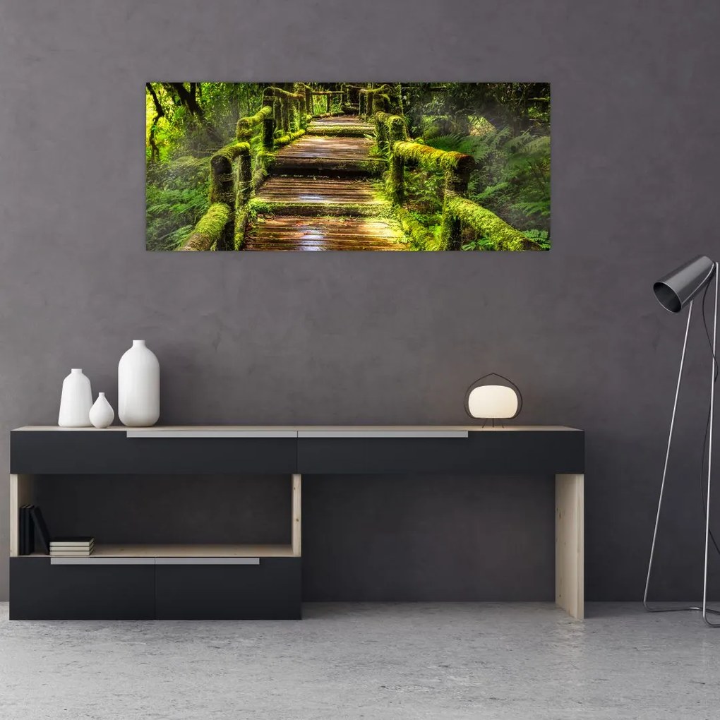 Tablou cu scări într-o pădure tropicală (120x50 cm)