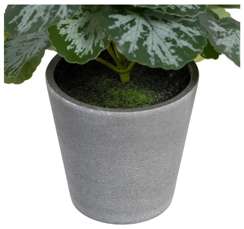 Plantă artificială (înălțime 21,5 cm) Saxifraga – Ixia