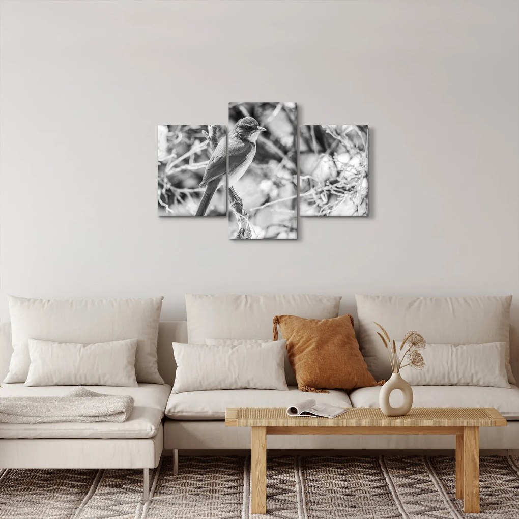 Tablou - Bluebird în timpul iernii (90x60 cm)