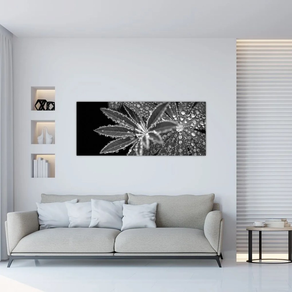 Tablou - Frunze cu picături (120x50 cm)