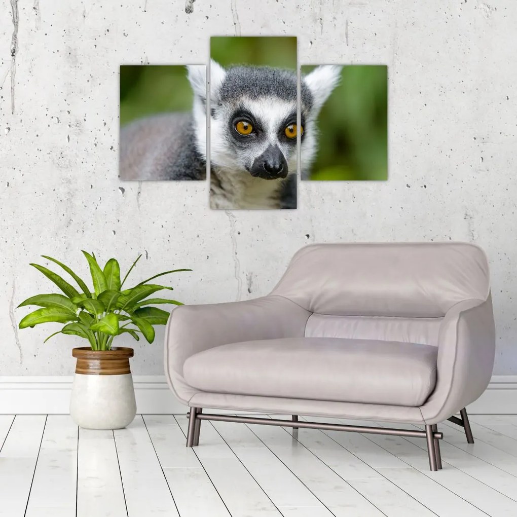 Tablou cu lemur (90x60 cm)