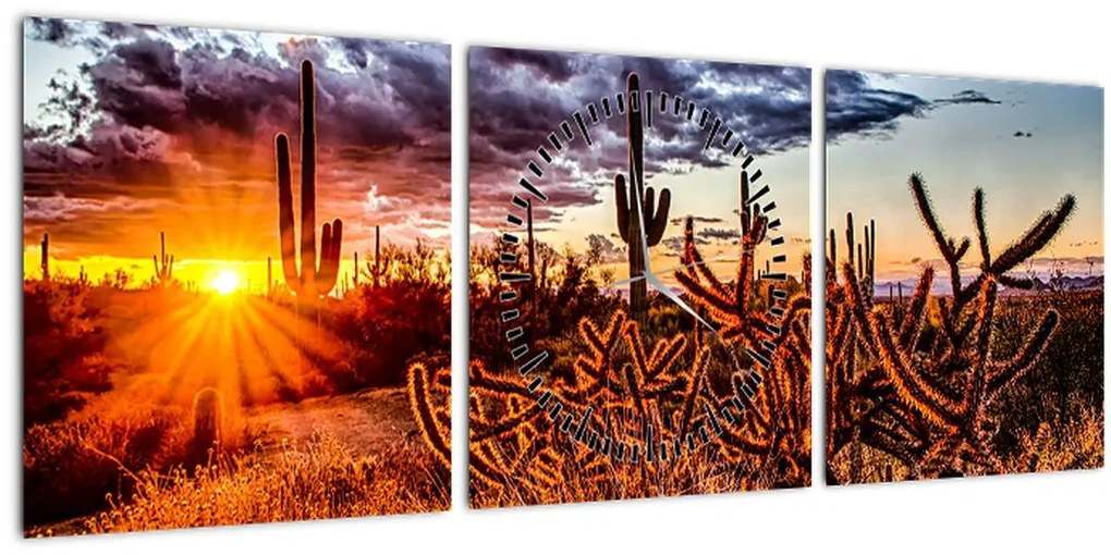 Tablou - Ora aurie a deșertului (cu ceas) (90x30 cm)