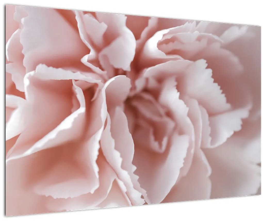 Tablou - Detaliu flori (90x60 cm)