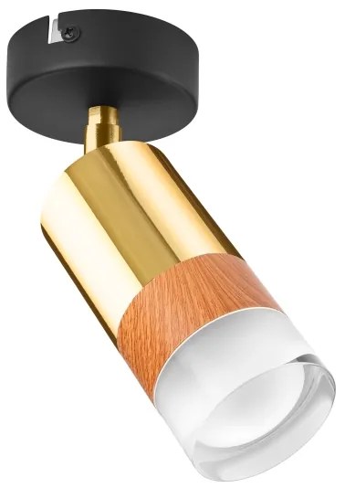 Spot de perete AURORA 1xGU10/10W/230V