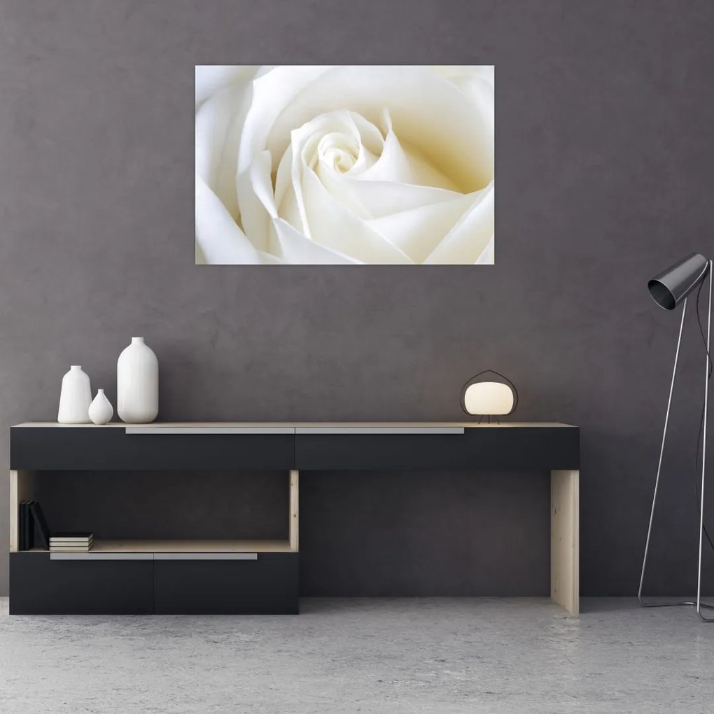 Tablou cu tandafir alb (90x60 cm)
